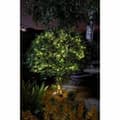 Miniatyrbild 3 av 3: LED-krans Super Smart Luciole Sol Varmvit