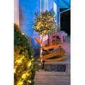 Miniatyrbild 3 av 3: LED-krans Galix G4430 16,4 m