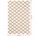 Pikkukuva 3 / 4: Ristikko Nature Puu Luonnollinen 1 x 2 m
