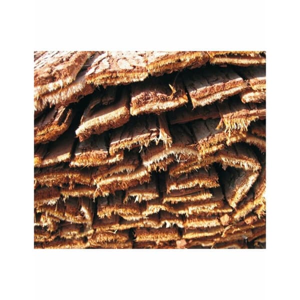 Rotting Faura f27101 Brun Gran Kábeltelevízió Bark 1 x 3 m