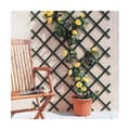Miniatyrbild 2 av 2: Gitter Nortene Trelliflex 1 x 2 m Grön PVC
