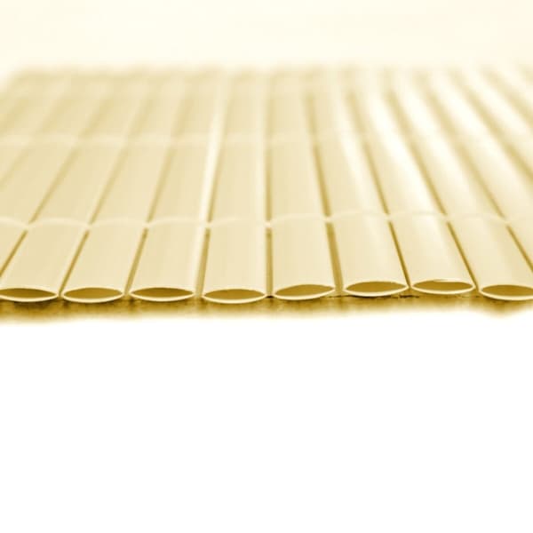 Havehegn Beige PVC 1 x 300 x 100 cm