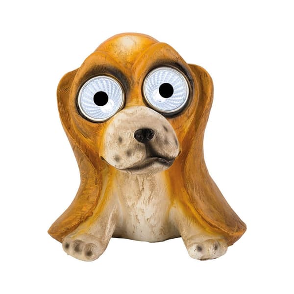 Sollys Lumineo Hvid Kold hvid Hund