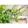 Pikkukuva 4 / 5: LED-valokranssi Super Smart Vivo 365 Aurinkokenno 20 Lm
