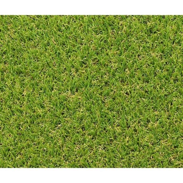 Syntetgräs EXELGREEN CAMPUS 2D - 1x5m - Tjocklek 25mm