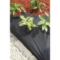 Miniatyrbillede 2 af 4: Nature jorddug 1 x 20 m sort 6030220