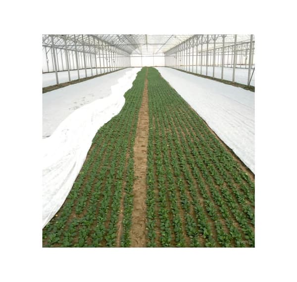 Forsterket luft- og vanntett dekkmateriale 80 g/m², 3 х 10m