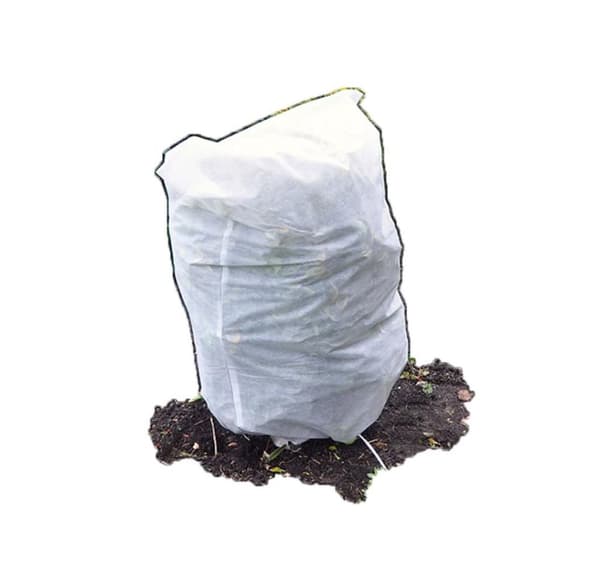 Vintertäcke för rosor och blommande buskar 200 g/m², 2 х 2m