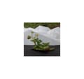 Miniatyrbillede 3 af 3: Non-woven 30g/m² vinter-forår, hvid, 1,6 x 10m