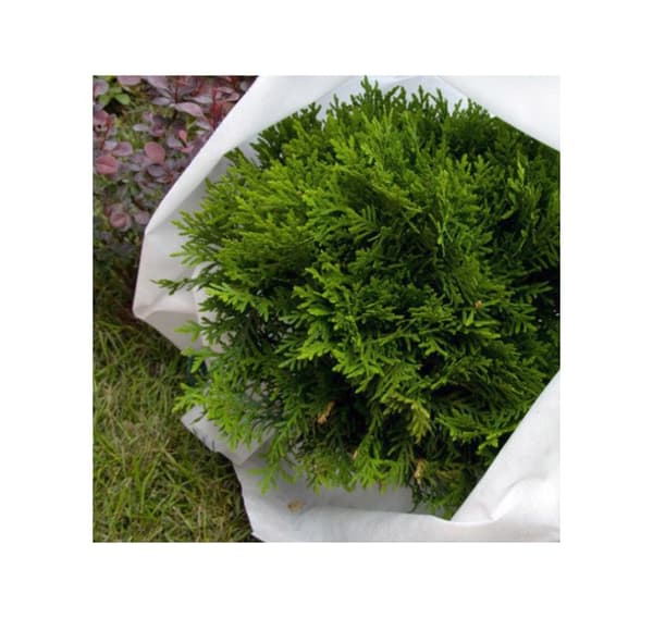 Non-woven 110g/m² vinter, vit, 3,2 x 10m