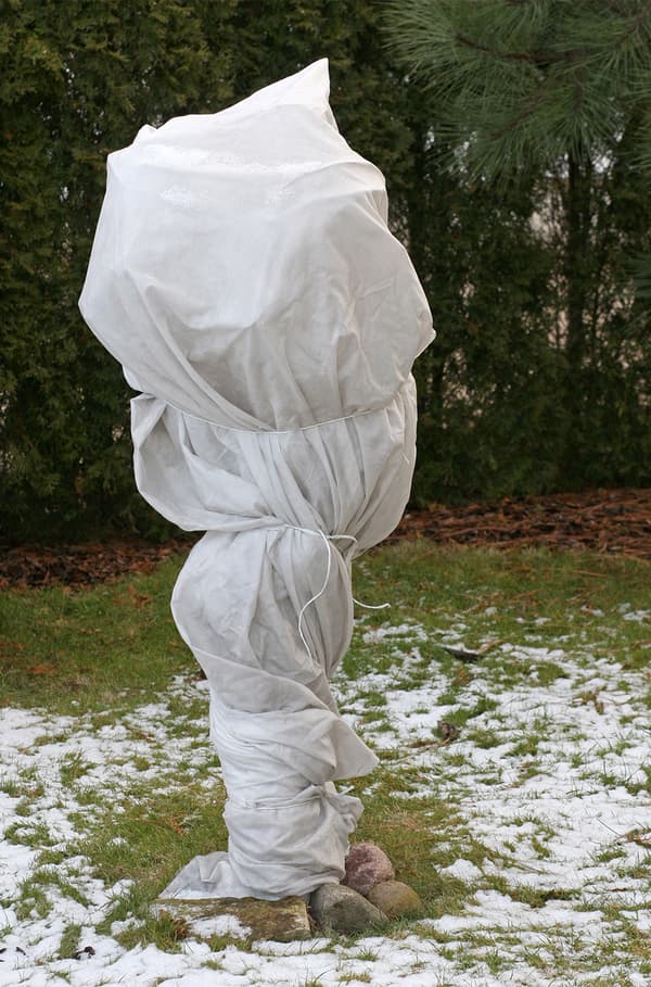 80 m² Vinterskyddsfleece Isolerande trädgårdsfleece Frostskydd 80 g 1,6 m bred