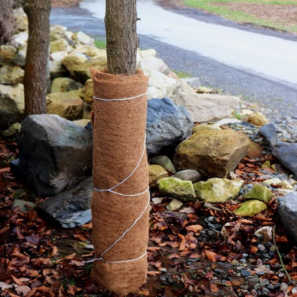 8 m Kokosfibermåtte Vinterbeskyttelse Skråmåtte Kokosfibermåtte 800 g/m² 0,25 m bred