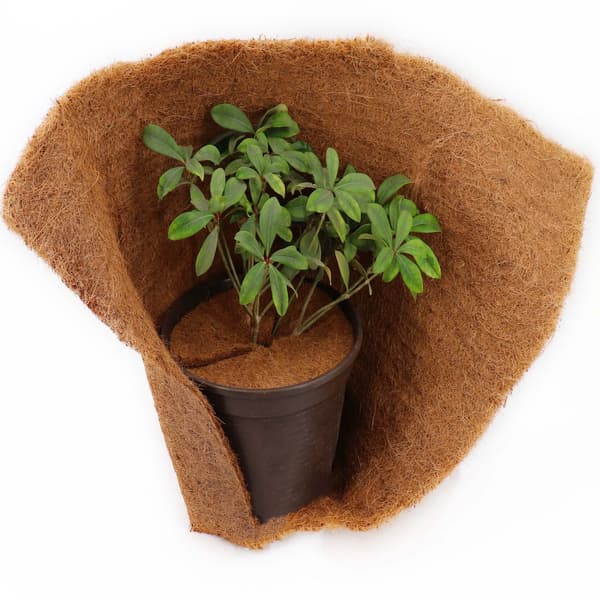 1 Coconut Mulching-skive 30 cm Kokosfibermåtte Kokosfiber Plantebeskyttelsesmåtte Kokosnød