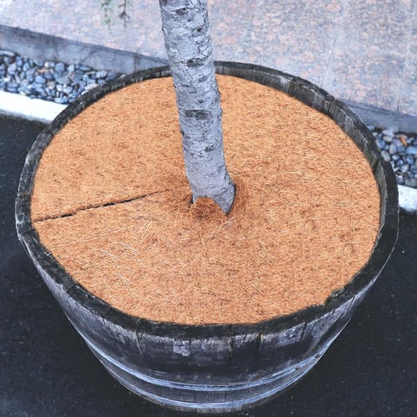 1 Kookos Silppuamislevy 60 cm Kookoskuitumatto Kookoskuitu Kasvinsuojelumatto Coconut