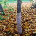 Miniatyrbillede 7 af 9: 60 m x 1 m Jutestof 105 g/m² Jutemåtte Havejute Jutestof Jute-jutebånd