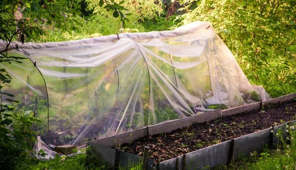 5 m Haveliner Drivhusliner UV 5 Coldframe liner Drivhusliner 8 m bred