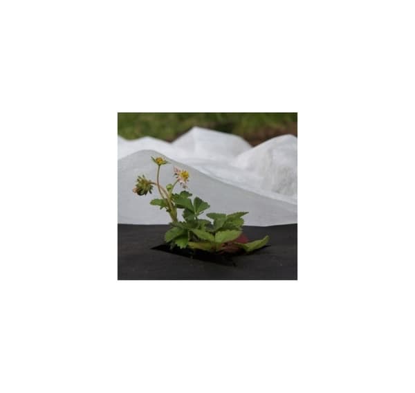 Non-woven 30g/m² vinter-vår, vit, 1,1 x 10m, 5st.