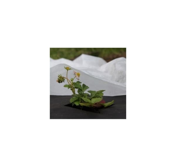 Non-woven 17 spring, White, 1,6 x 20m