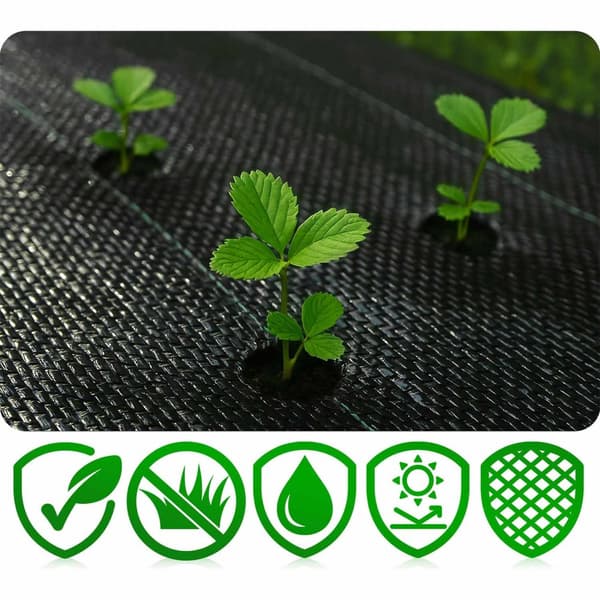 Have agrotekstil 1,6 mx 50 m 90 g/m2 + 50 Plonos stifter - sort