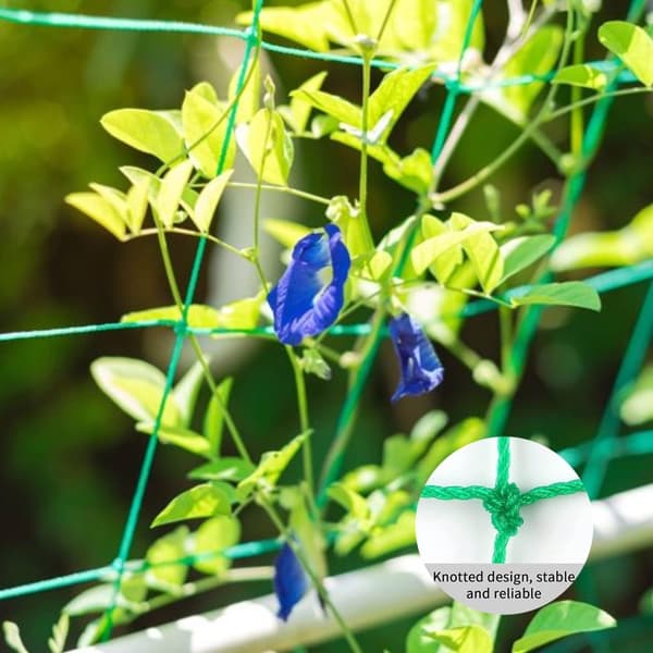 Large Mesh Net for a Particularly Good Harvest of Cucumbers, Tomatoes and Other Vegetables and Climbing Plants – Dimensions: 2.50 x 2m