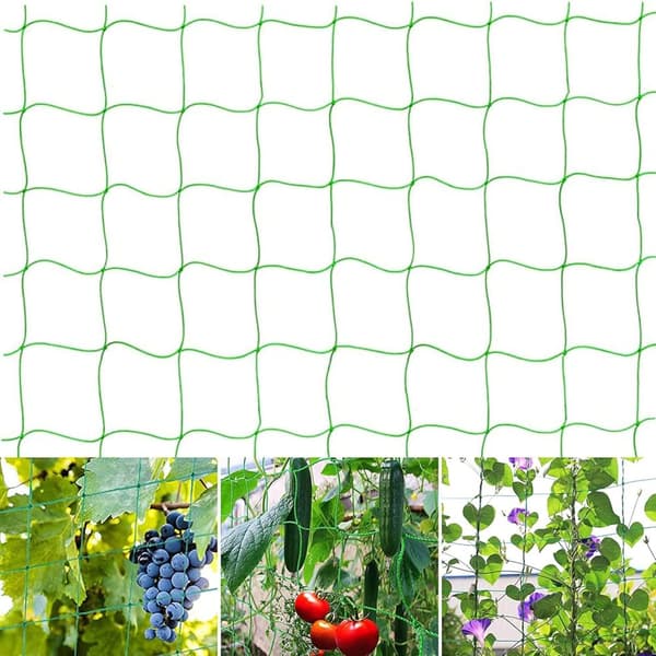 Large Mesh Net for a Particularly Good Harvest of Cucumbers, Tomatoes and Other Vegetables and Climbing Plants – Dimensions: 2.50 x 2m