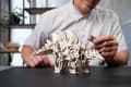 Miniatyrbillede 6 af 10: 3D Træpuslespil Stegosaurus uGEARS
