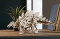 Miniatyrbillede 9 af 10: 3D Træpuslespil Stegosaurus uGEARS