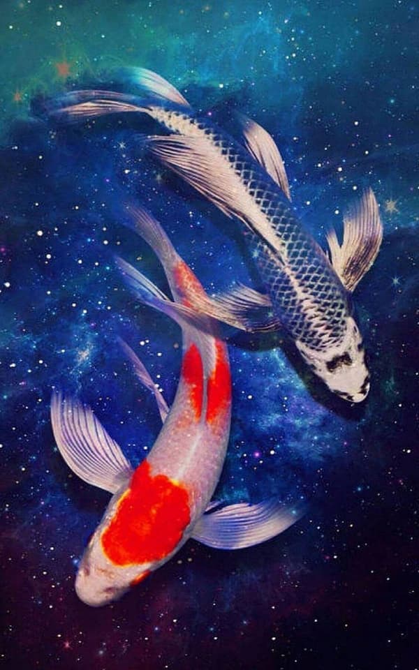 Diamantbroderi Stjärnklar Koje 35x53 cm