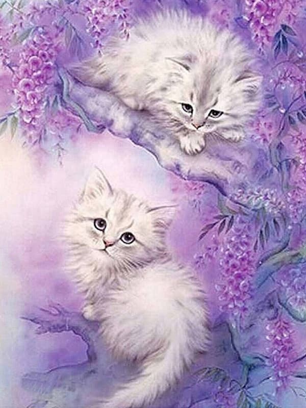 Diamantbroderi Hvide Katte To 35x45 cm