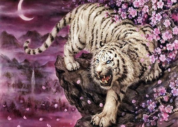 Diamantbroderi Tiger på klippe 45x55 cm