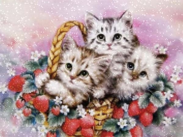 Diamantbroderi Søde Katte Tre 45x55 cm