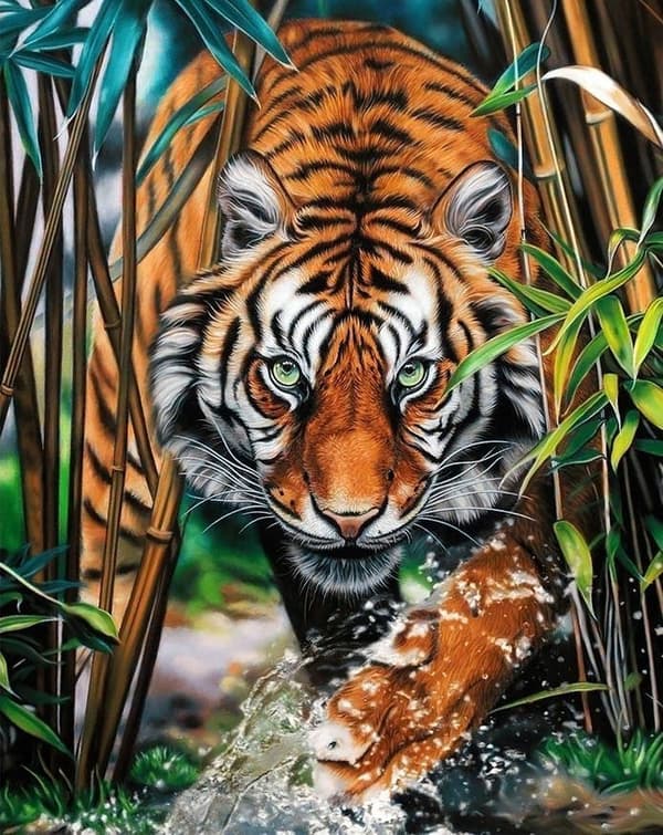 Diamantbroderi med hukande tiger 2 40x50 cm