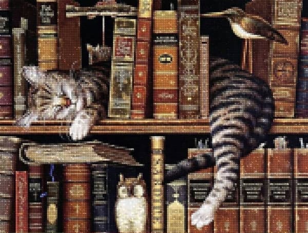 Diamantbroderi Katt Bibliotekarie 45x58 cm