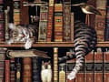 Miniatyrbild 1 av 6: Diamantbroderi Katt Bibliotekarie 45x58 cm