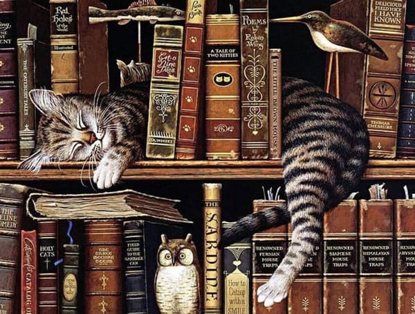 Diamantbroderi Katt Bibliotekarie 45x58 cm