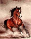 Miniatyrbild 2 av 6: Diamantbroderi Hästgalopp 45x55