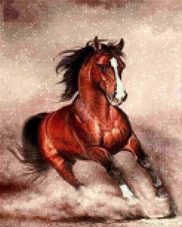 Diamantbroderi Hästgalopp 45x55