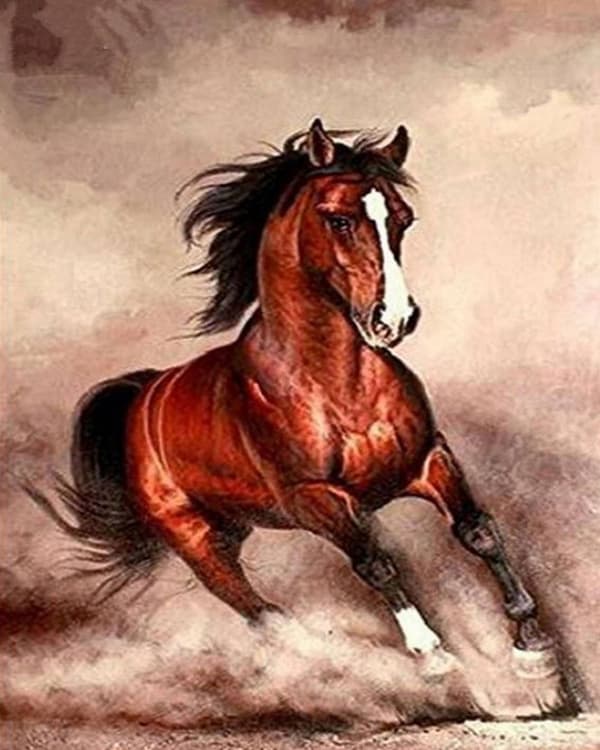 Diamantbroderi Hästgalopp 45x55