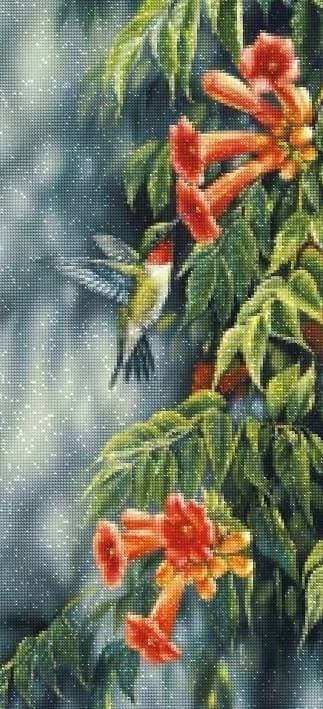 Diamantbroderi Vacker kolibri 55x115