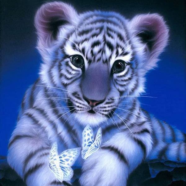 Diamantbroderi Söt Tiger 45x45 cm