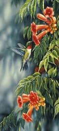 Miniatyrbillede 1 af 6: Diamantbroderi Smuk Kolibri 55x115 K