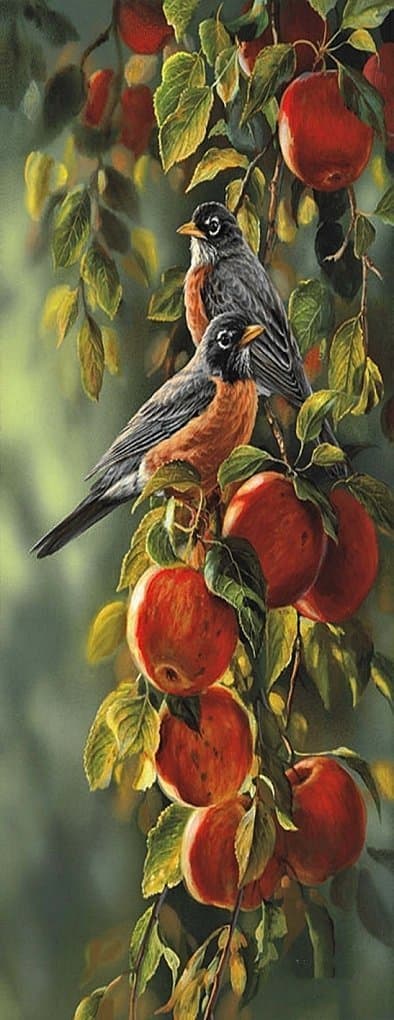 Diamantbroderi Frugtmejse 50x110 cm