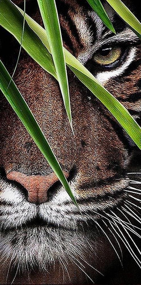 Diamantbroderi med hukande tiger 45x85 cm