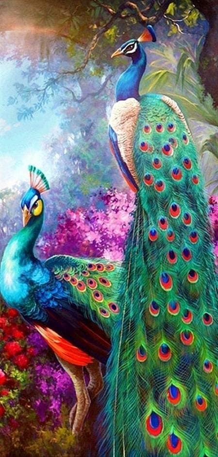 Diamantbroderi Kongelige Påfugle 50x95 cm