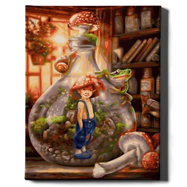 Paint By Numbers Kit Boy Toadstool 40x50