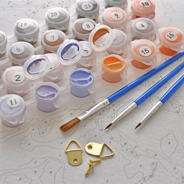 Paint By Numbers Kit Boy Toadstool 40x50