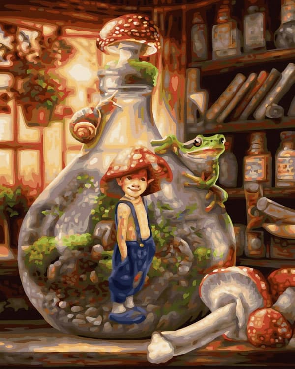 Paint By Numbers Kit Boy Toadstool 40x50