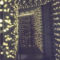 Miniatyrbild 3 av 6: Billy solcellsgirlang - LUMI JARDIN - 60 LED-lampor - 6,9 cm - Varmvit