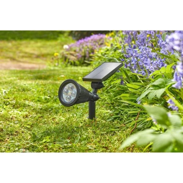 Spot Lumi 70L, Postordre