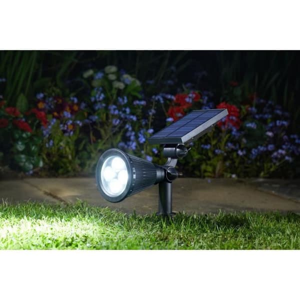 Spot Lumi 70L, Postordre